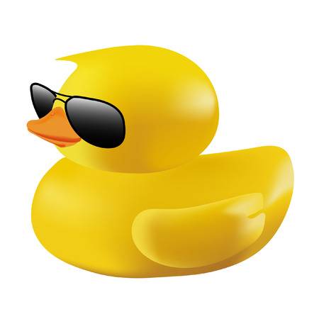 32099029-sunglasses가있는-bath-duck.jpg