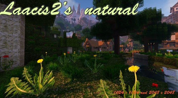 Laacis2s-Natural-Resource-Pack-for-minecraft-textures-2.jpg